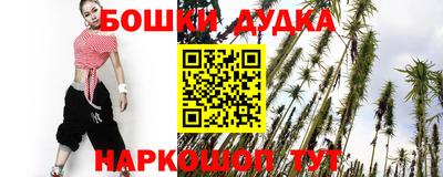 spice Обь