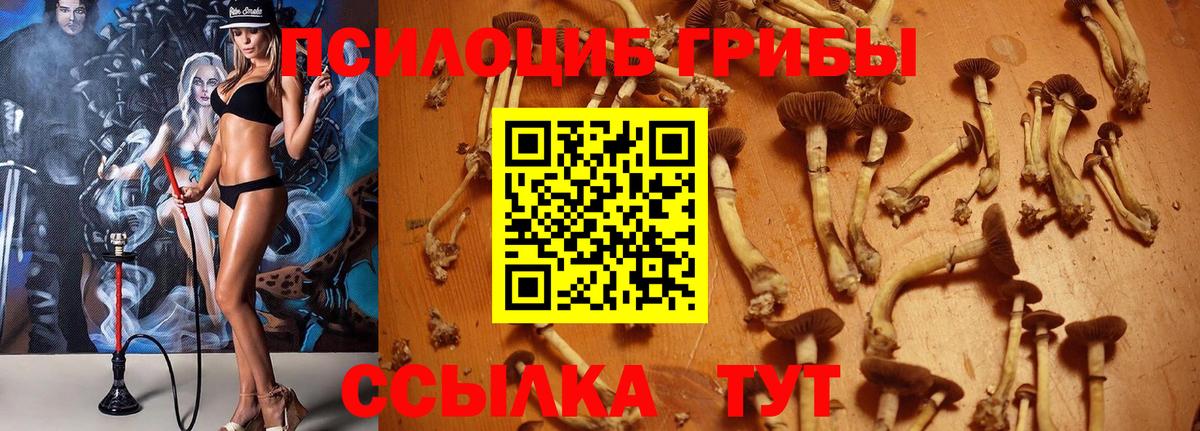 Псилоцибиновые грибы Magic Shrooms Старая Купавна